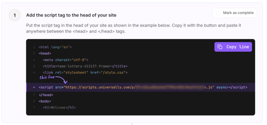 Copy script tag to add to Framer
