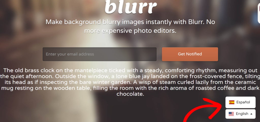 View language switcher in Webflow - Universally View language switcher in Webflow
